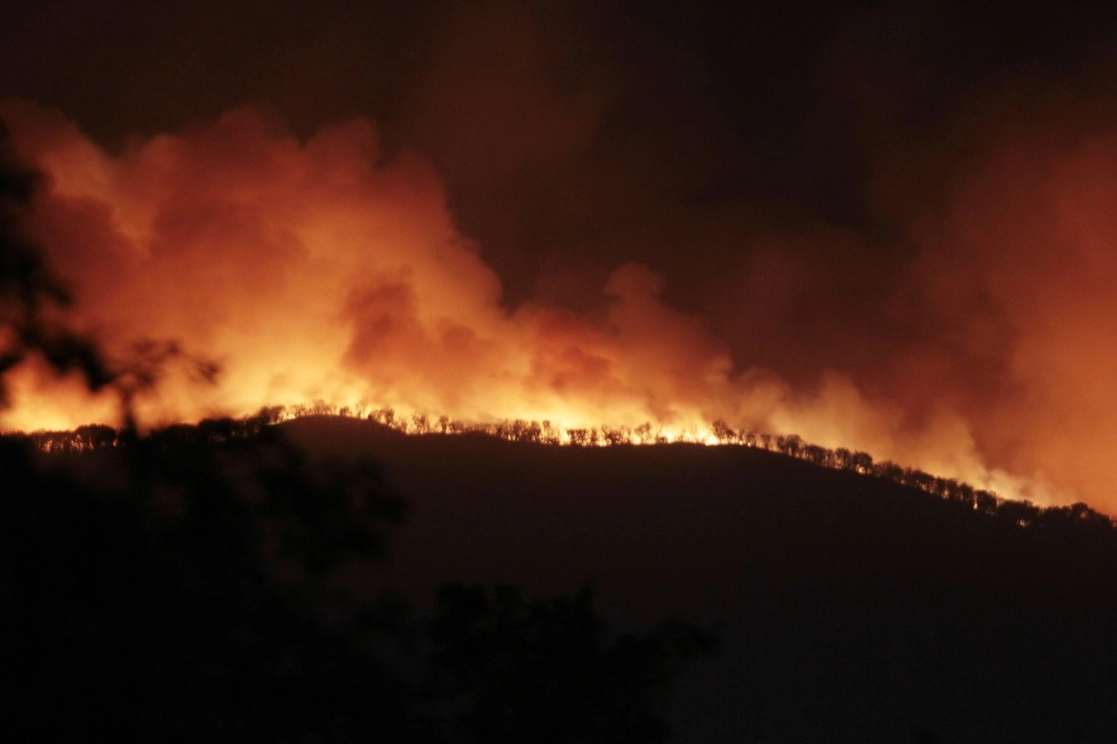 Incendio en el bosque La Primavera. Foto Arturo Campos/ Archivo