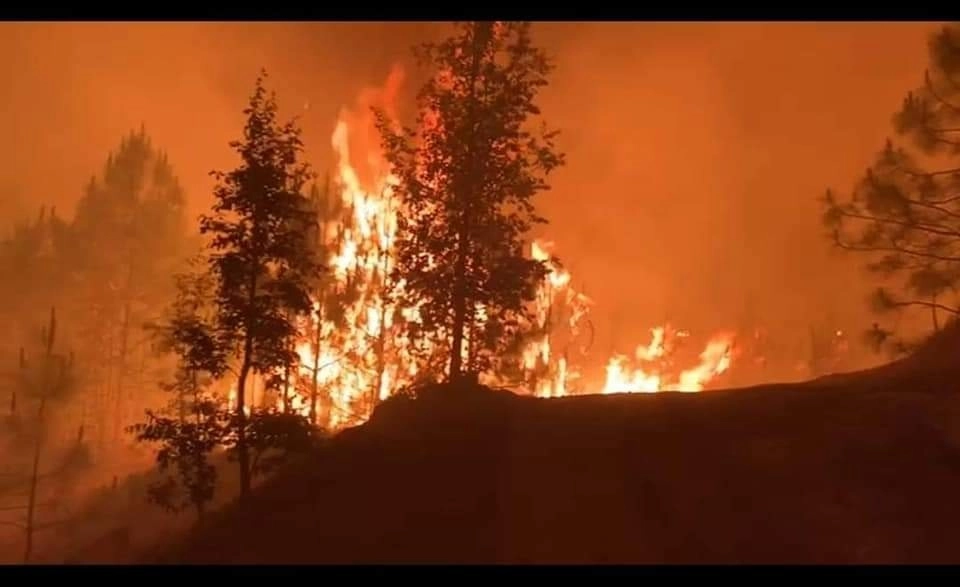 Habitantes del municipio serrano de La Yesca piden ayuda para que sea sofocado el incendio que desde el pasado viernes consume la sierra por el rumbo de la localidad de El Pinalillo. Foto ‘La Jornada’