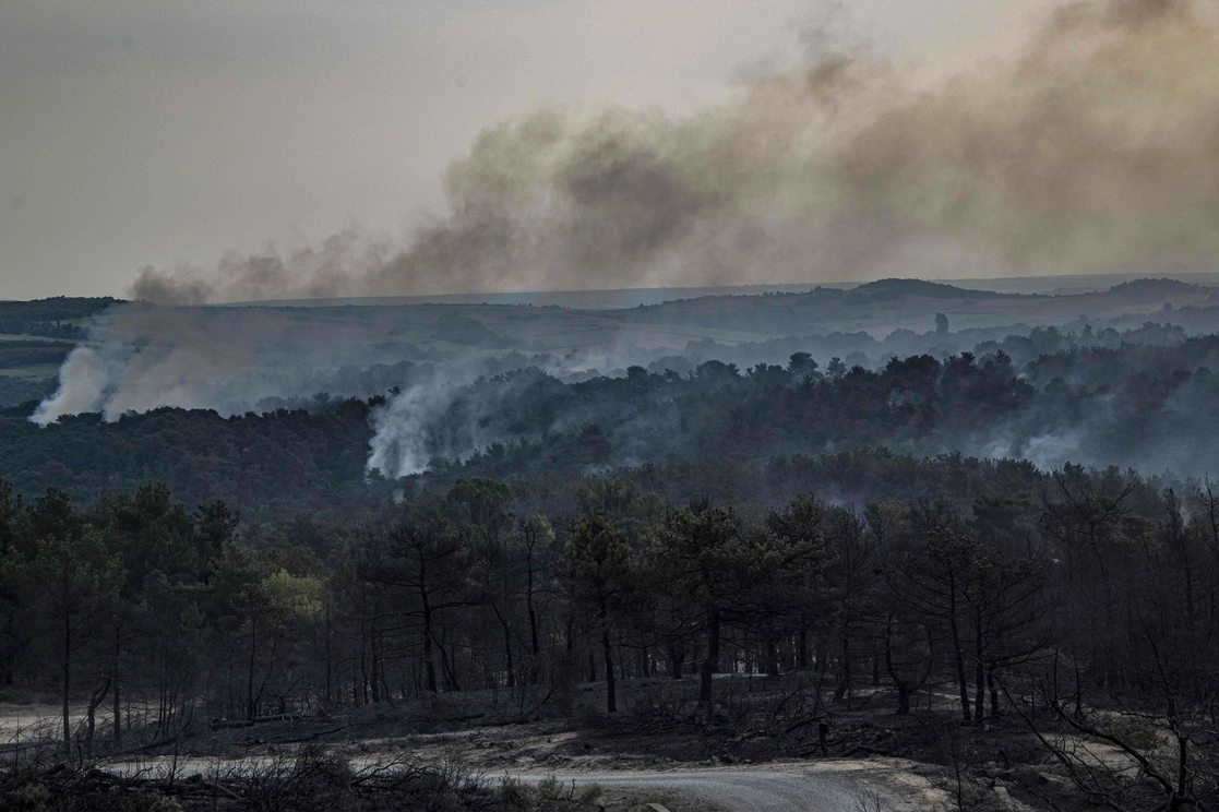 Humo que se eleva sobre los árboles quemados del parque nacional Dadia, el pasado 25 de julio. Foto Afp 