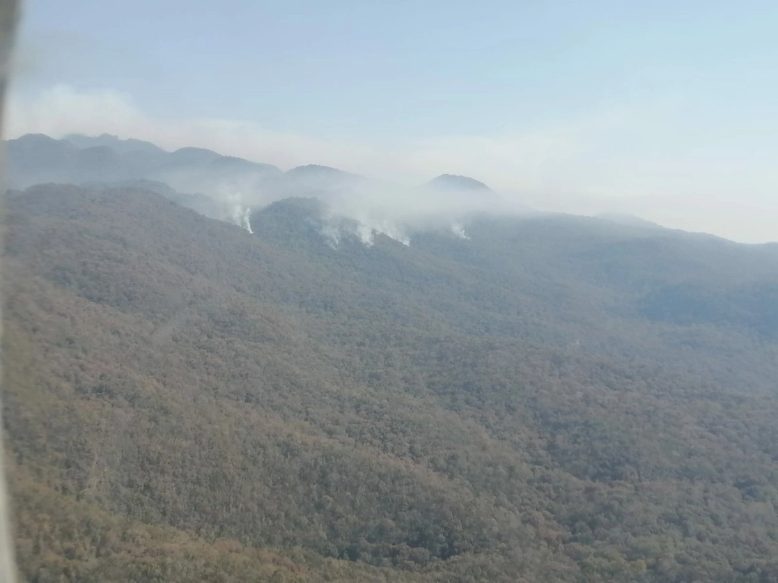El incendio en El Cielo ya está un 80 por ciento controlado, reportó la Comisión Nacional Forestal. Foto tomada del Twitter de @CONAFOR