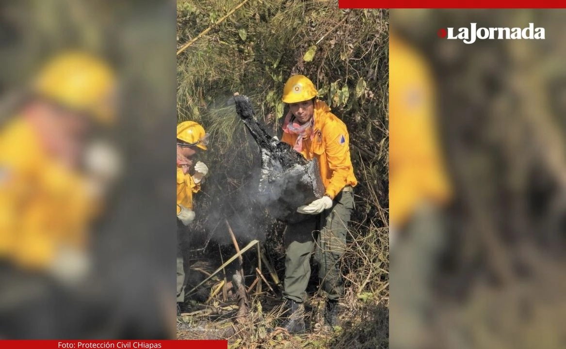 Brigadas de bomberos y Protección Civil, así como pobladores de la selva se sumaron a las labores de combate al fuego la zona de la Lacandona siniestrada. Foto