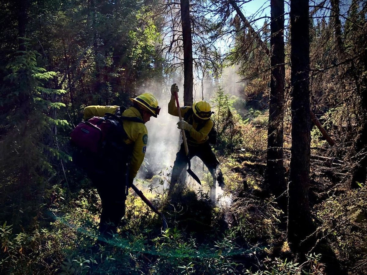 Se pidió a la población prevenir incendios forestales evitando encender fogatas o asadores en áreas naturales, no arrojar colillas, cerillos, botellas o basura, y suspender quemas de limpieza o agrícolas. 