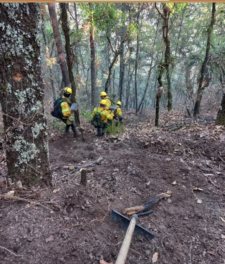 Brigadistas participan en el combate al incendio. Foto Protección civil de Chihuahua