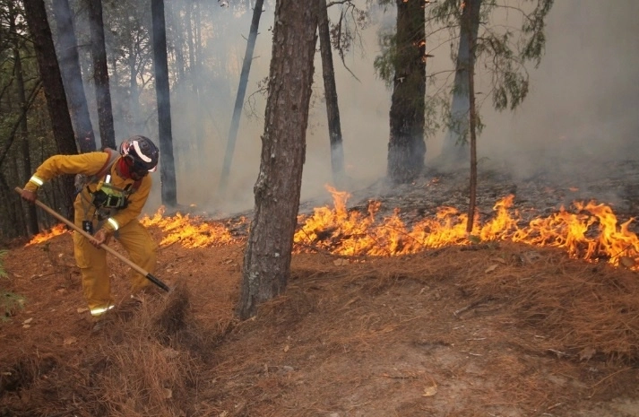  También participan 275 combatientes de Conafor, Sedena, Guardia Nacional, Policía Estatal y voluntarios. Foto La Jornada / archivo