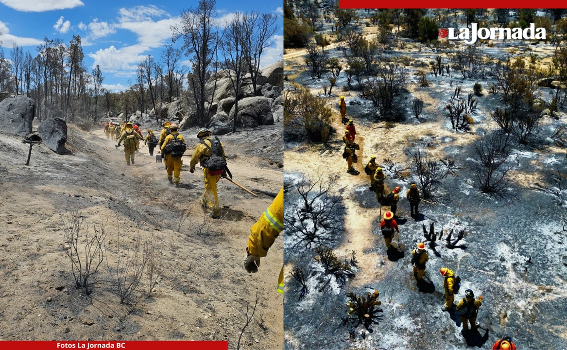 Brigadistas rumbo al sitio del incendio y vista aérea de la zona donde lograron controlar las llamas. Fotos