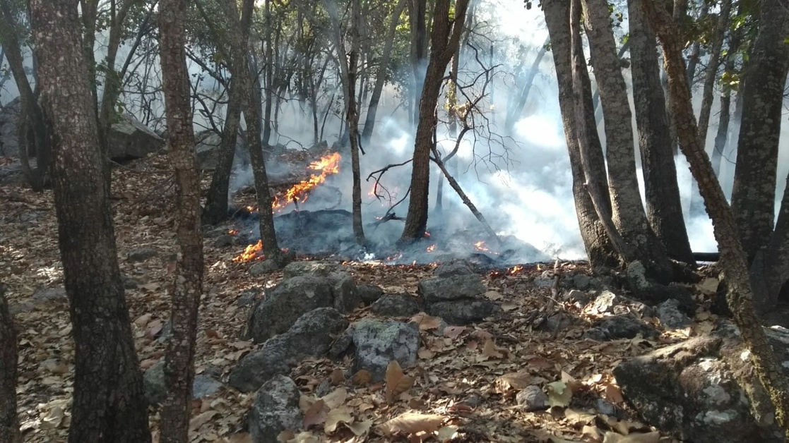 El incendio se ha logrado controlar cerca del 80 por ciento. Foto cortesía SSPE