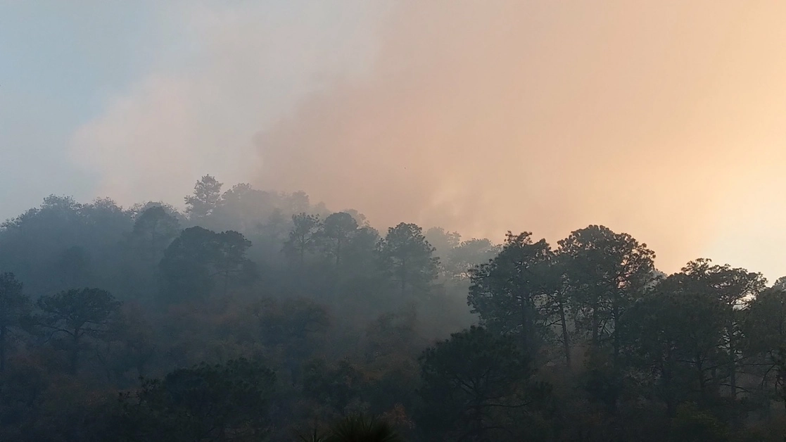 Un incendio forestal ha consumido desde el lunes unas 55 hectáreas en el sector Las Adjuntas, en el municipio Santiago, informó Protección Civil estatal. Foto tomada del Twitter de @PC_NuevoLeon