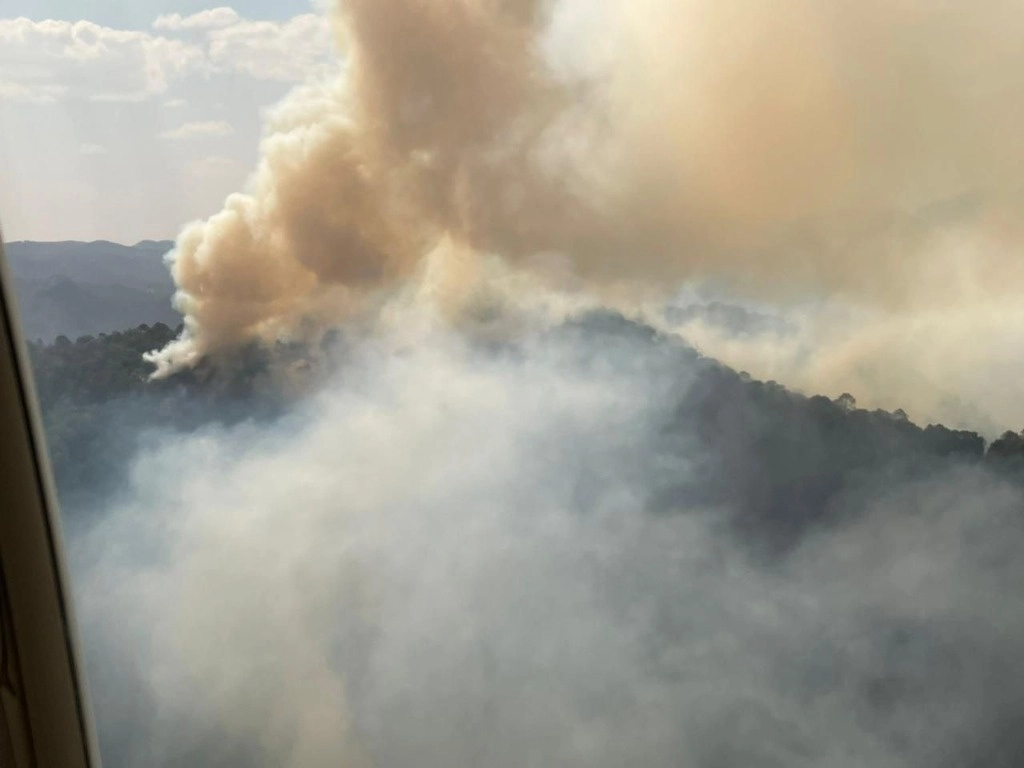 Un nuevo incendio forestal se originó en la sierra del municipio de San María del Río, en San Luis Potosí. Foto La Jornada