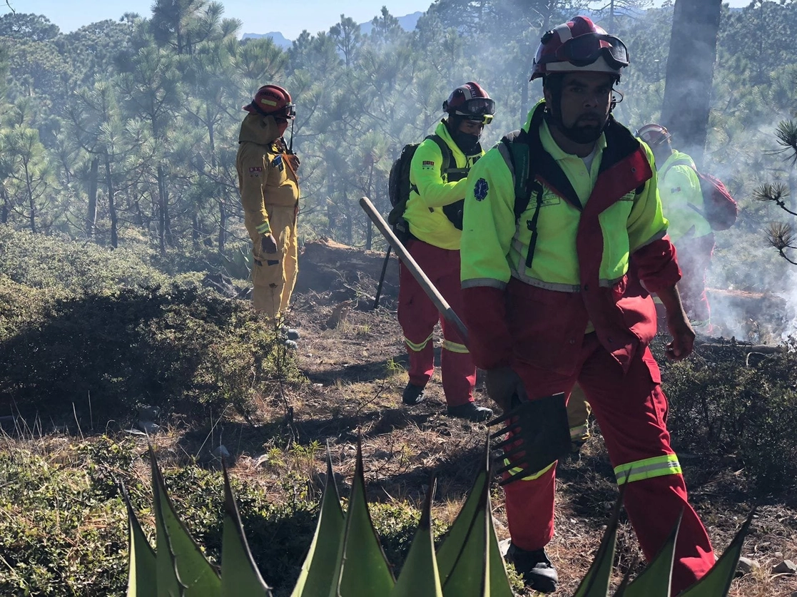 El incendio en el Ejido San Javier es combatido por brigadas de Protección civil estatal y municipal, así como de la Comisión Nacional Forestal. Foto ‘La Jornada’