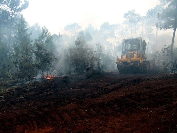 Se cumpken nueve días del incendio en la zona montañosa de Cuba donde se han perdido más de mil hectáreas. Foto @citmacuba