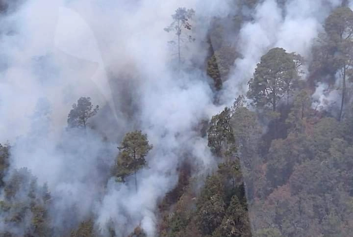 Imagen aérea del incendio forestal en el municipio de Ocuilan. Foto tomada del Twitter @GrupoRelampagos