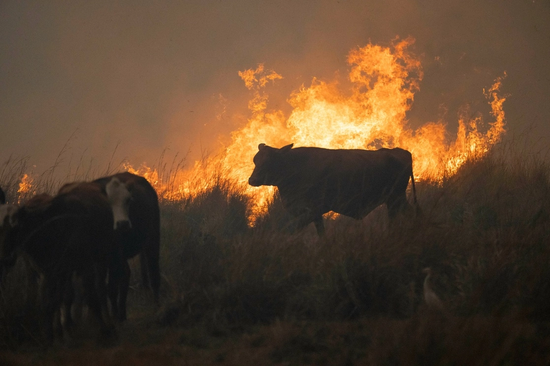 Incendio en la provincia de Corrientes, Argentina. Foto Ap