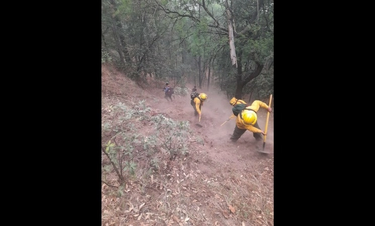 Bomberos combaten incendios forestales en el municipio de Madera, Chihuahua. Foto Cortesía del Comité Estatal del Manejo del Fuego