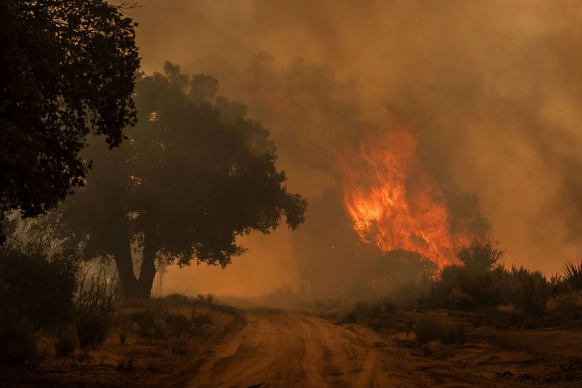 Debido a la intensidad del fuego y la gran concentración de humo, fue necesario cerrar un par de vialidades, ya que la visibilidad era nula.