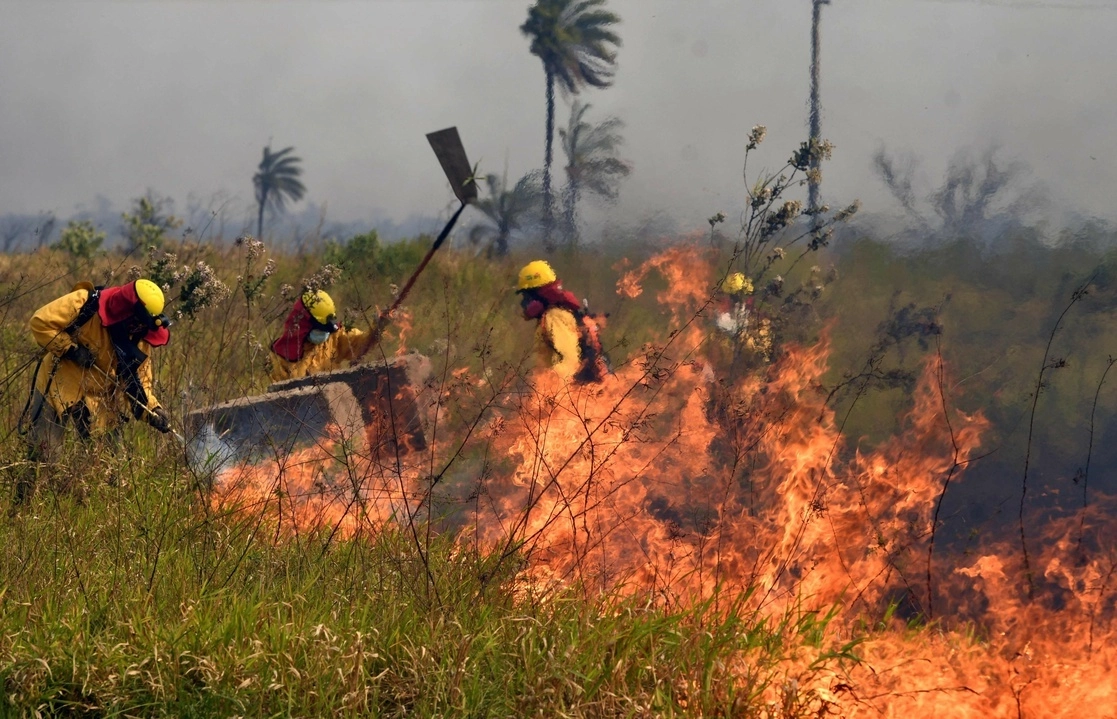 Bomberos combaten los incendios forestales en el departamento de Santa Cruz, Bolivia. Foto Afp / Archivo
