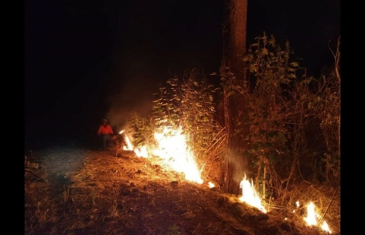 Los incendios forestales en Nayarit se registras en los municipios de Acaponeta,  Huajicori y Compostela. Foto ‘La Jornada’