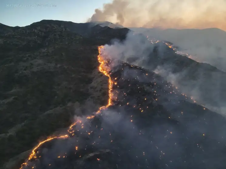 Casi 20 mil héctareas han sido devastadas en los dos estados en recientes días. La imagen, en Ímuris, en el norte sonorense. Foto ‘La Jornada’