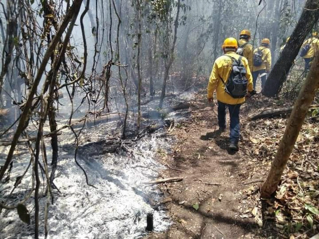 Brigadistas combaten un incendio forestal en la zona de Hopelchén, Campeche. Foto Cuartoscuro / Archivo