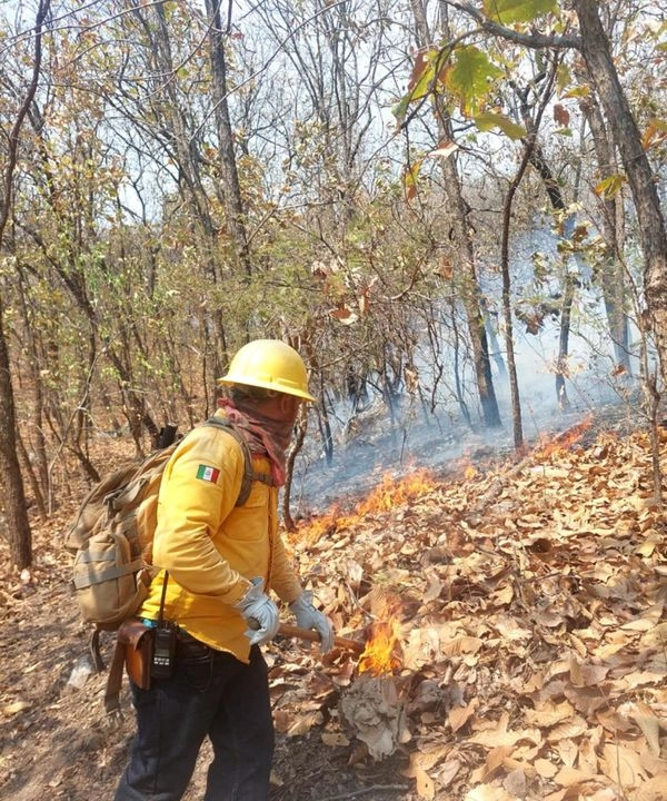 Personal operativo de la Coordinación Estatal de Protección Civil (CEPC) se trasladó al municipio de Bocoyna, este domingo, específicamente a la comunidad de Ahuichique, para verificar los daños ocasionados por los incendios forestales en la región.