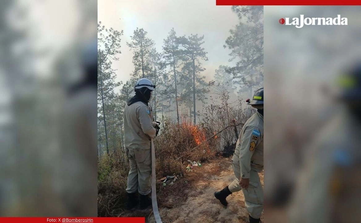 Más del 90 por ciento de los incendios forestales en Honduras son provocados por el ser humano, revelan estadísticas oficiales Foto.  