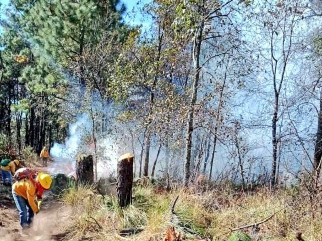 En febrero se reportó un incendio que afectó más de 50 hectáreas en el el bosque de pino del municipio de Huitzilac, Morelos. Foto ‘La Jornada’