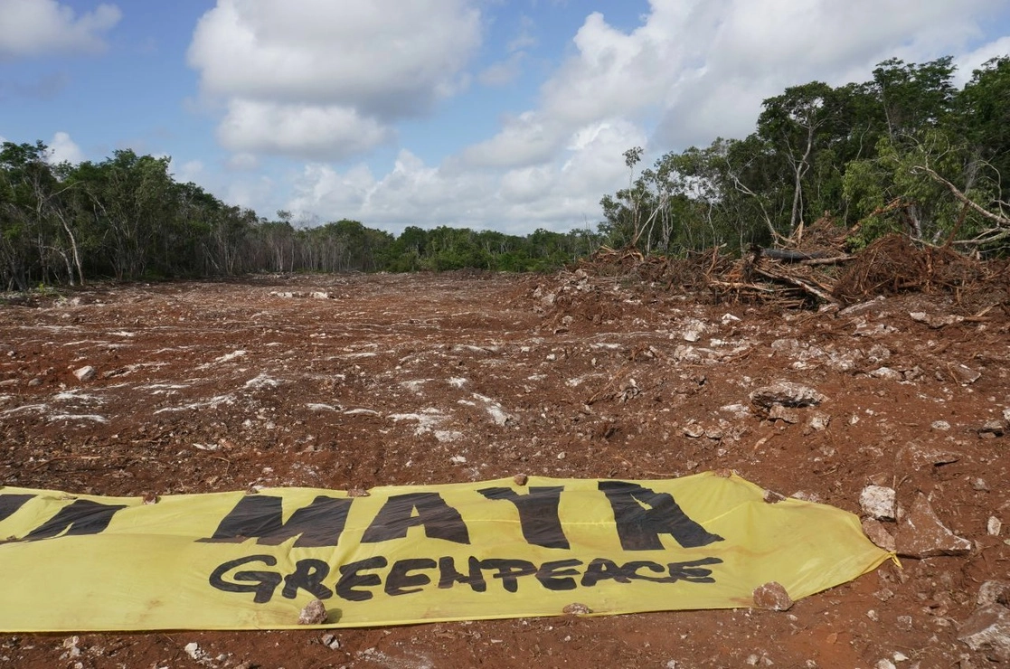 Organizaciones acusan al gobierno de México de incumplir legislación ambiental en las obras del Tren Maya. Foto Cuartoscuro / Archivo
