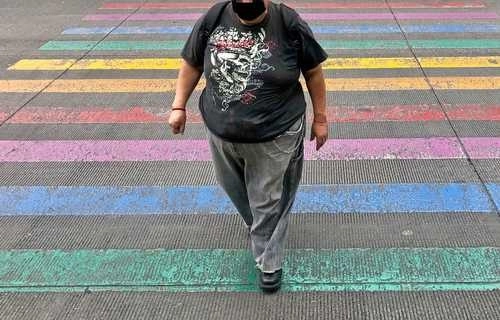 Las manifestaciones de la obesidad como enfermedad no se han caracterizado adecuadamente y eso afecta la puesta en marcha de atención y políticas públicas al respecto, subrayan. Foto Luis Castillo