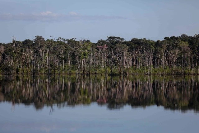 Indígenas piden emergencia en Amazonía tras derrame de crudo en laguna clave para alimentación. Foto Afp