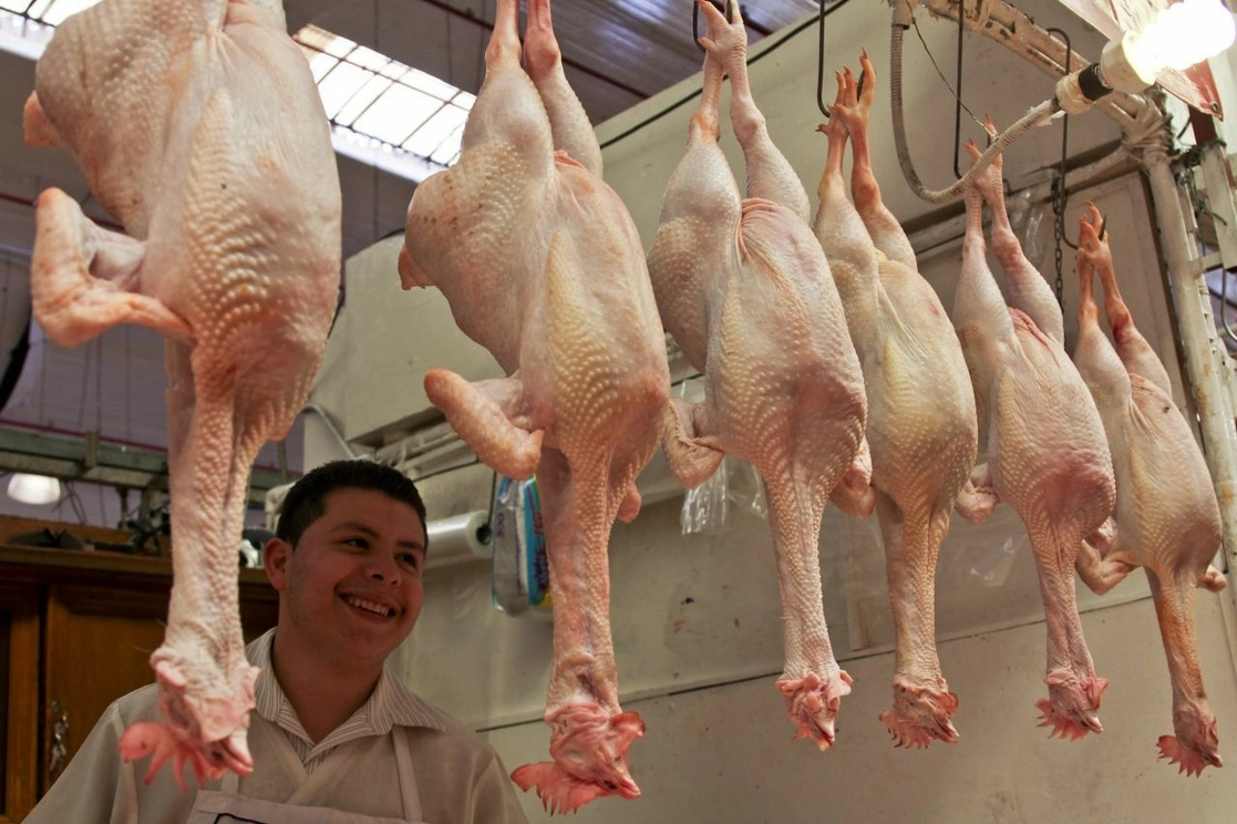 La producción avícola representa el 37 por ciento del Producto Interno Bruto del país. Foto Cuartoscuro