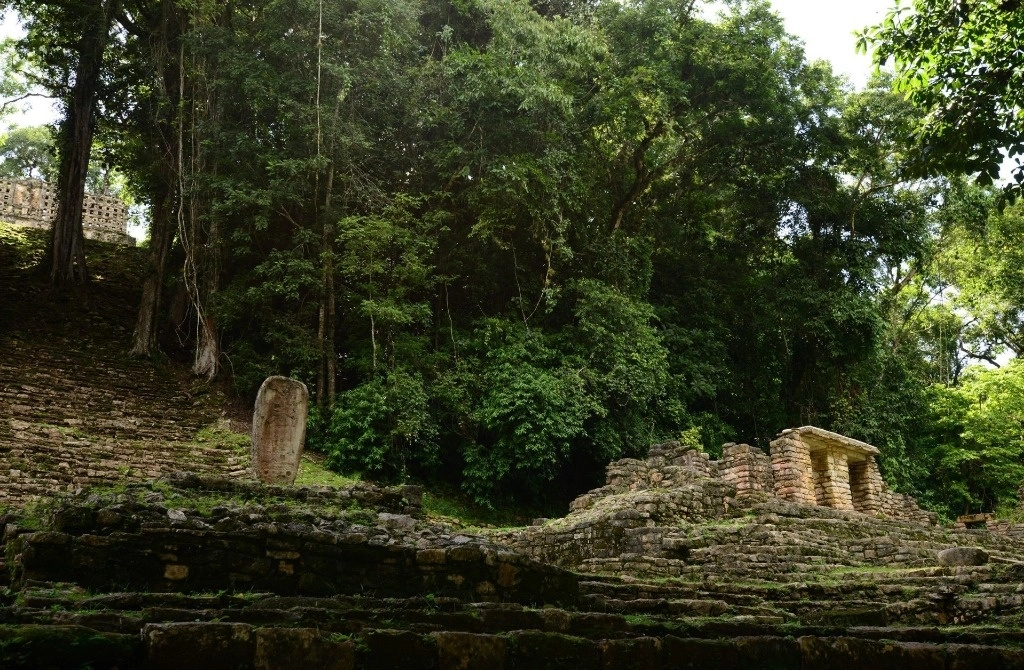 Yacimiento arqueológico de Yaxchilán, localizado sobre un meandro al margen del río Usumacinta, en el estado de Chiapas. Foto Cuartoscuro / Archivo