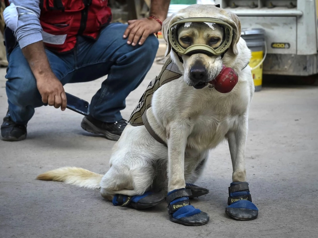 Frida y su entrenador Israel Arauz Salinas, de la Secretaría de Marina. Foto Afp / Archivo