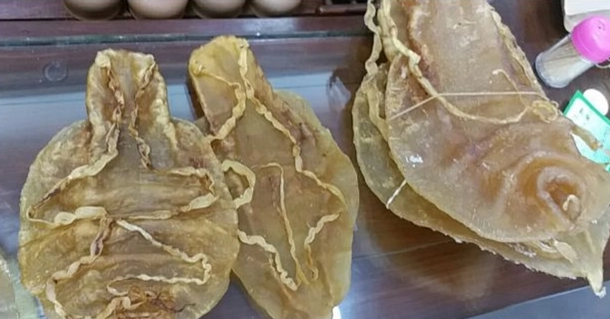 Entre la ropa y artículos personales se encontraron paquetes con buches deshidratados de totoaba, con etiqueta de documentación a nombre Li J y otras dos personas. Foto 