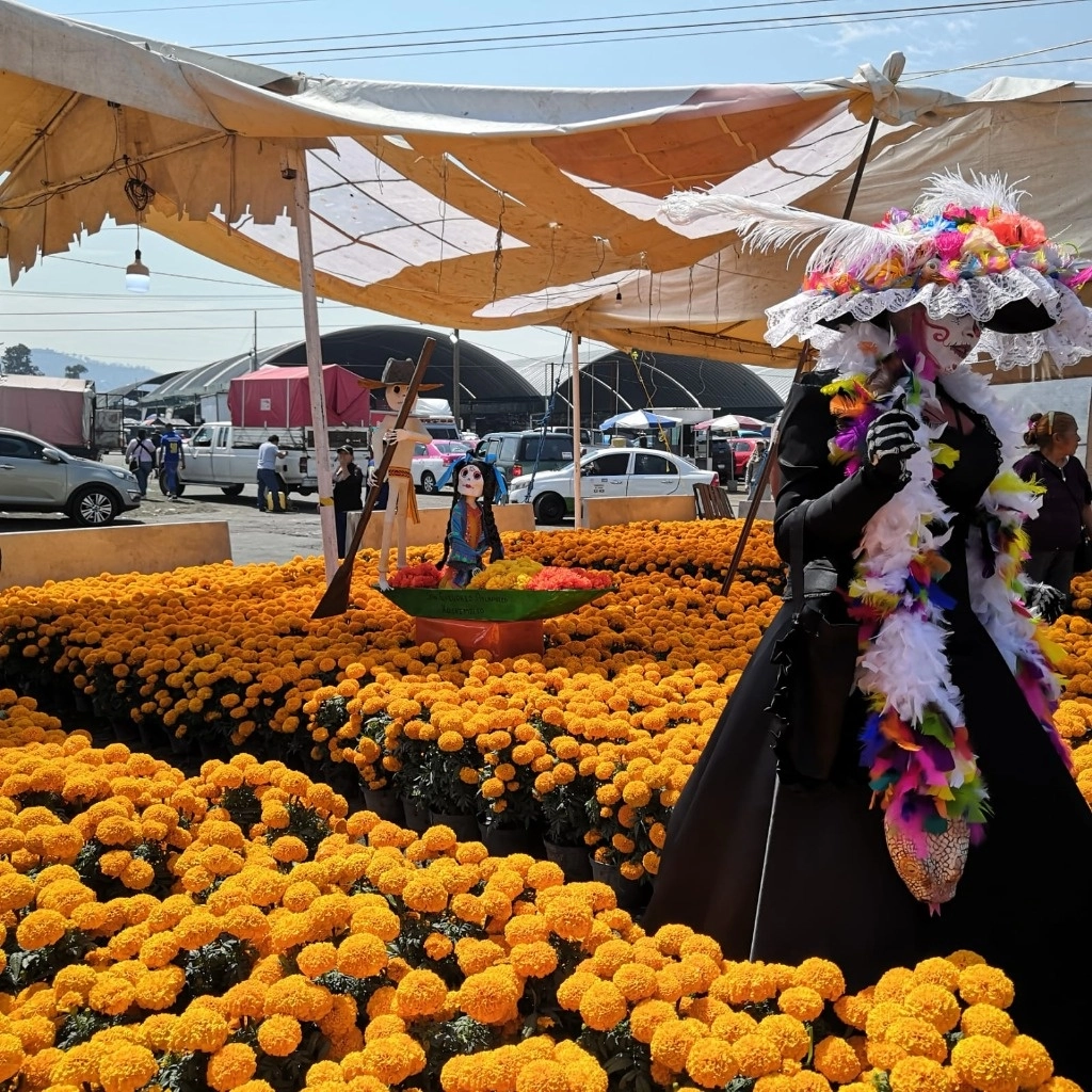 En la Central de Abastos inició la romería de calabazas, camote y flor de cempasúchil. Foto Elba Mónica Bravo
