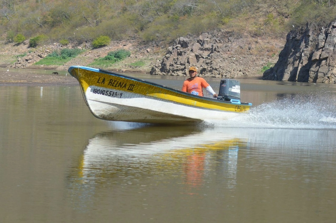 La veda para la pesca comercial de atún será del 29 de julio al 8 de octubre del presente año. Foto Cuartoscuro / Archivo