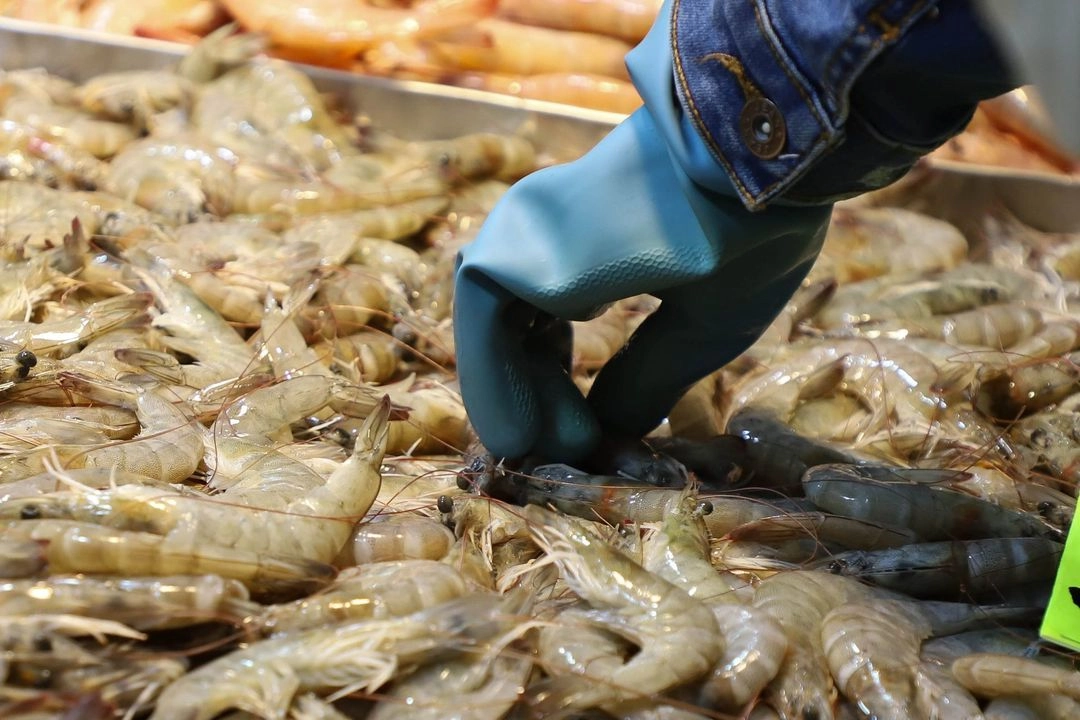 Venta de camarones en un local del mercado de la Nueva Viga, el 6 de marzo de 2025. Foto 