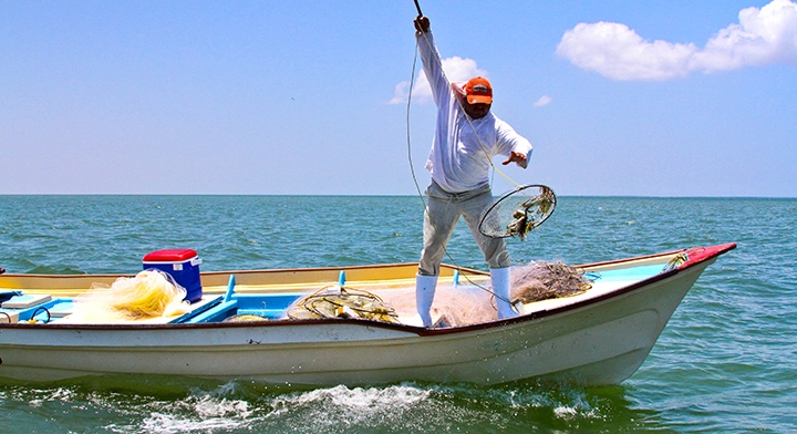 Bienpesca reconoce a la actividad pesquera y al esfuerzo de cada pescador y acuacultor. Foto Sader