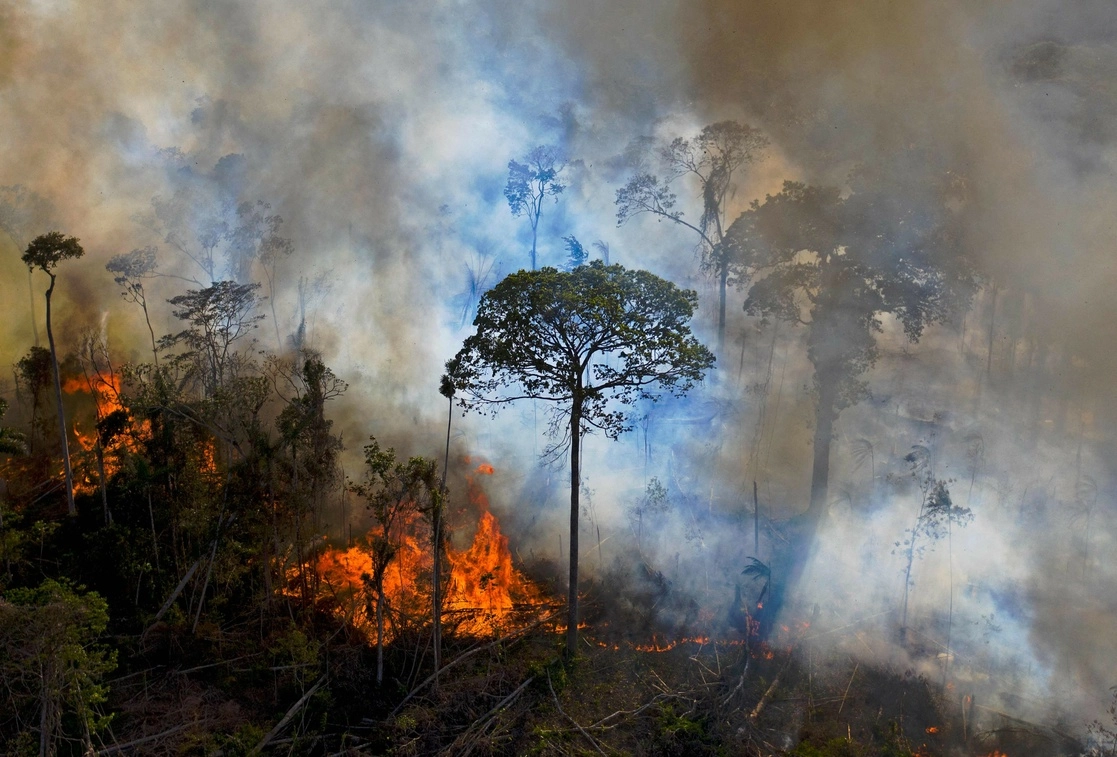 Deforestación en la selva amazónica por un incendio activado por personas. Foto Afp