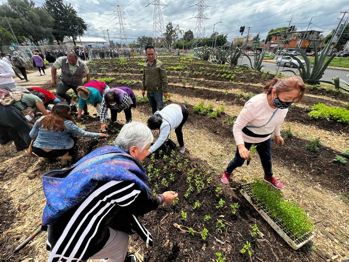 En un camellón comenzó la siembra de diversas hortalizas y plantas medicinales. Foto María Luisa Severiano 