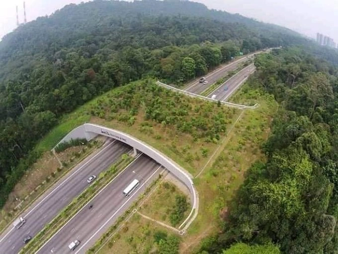 El proyecto pretende emular estos puentes que ya se ven en obras de otros países /la imagen en Holanda). Foto @baide_rony