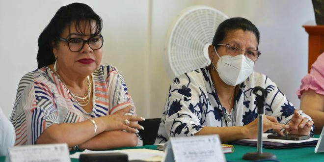 Nashieli Ramírez, presidenta de la Comisión de Derechos Humanos de la CDMX abogó por el reconocimiento a los derechos de las personas con discapacidad. Foto La Jornada