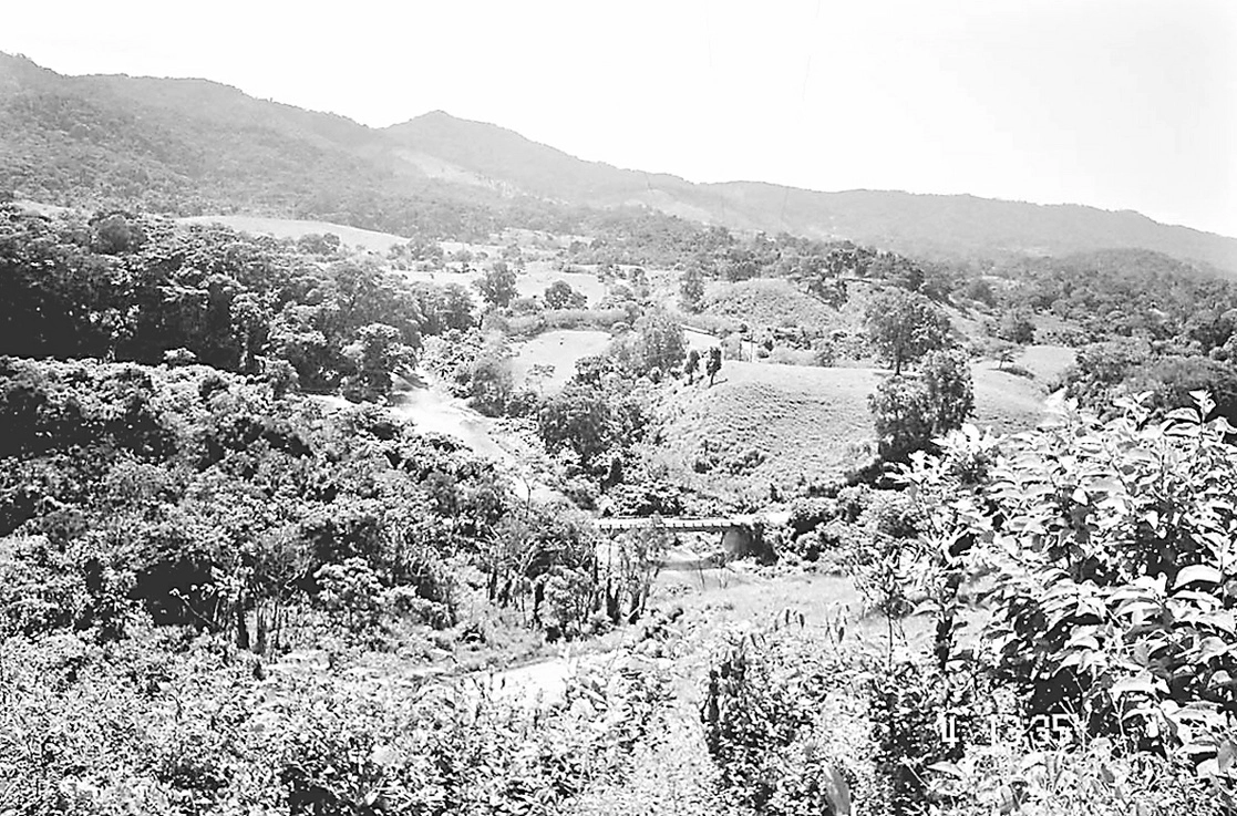 La Suprema Corte de Justicia de la Nación (SCJN) resolvió darle a Oaxaca la zona de los Chimalapas. Foto Hiram Moreno / Archivo