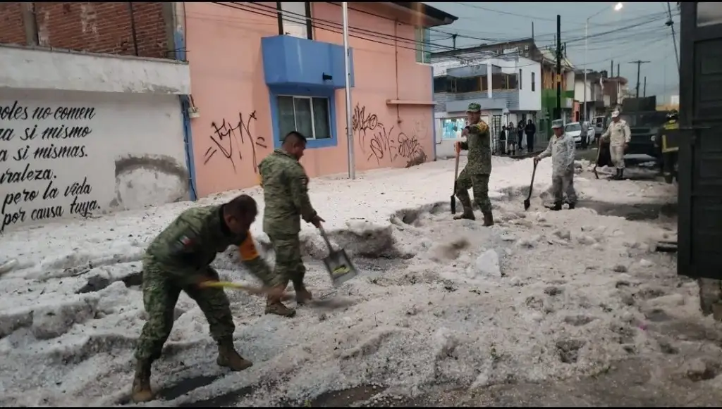 Imagen