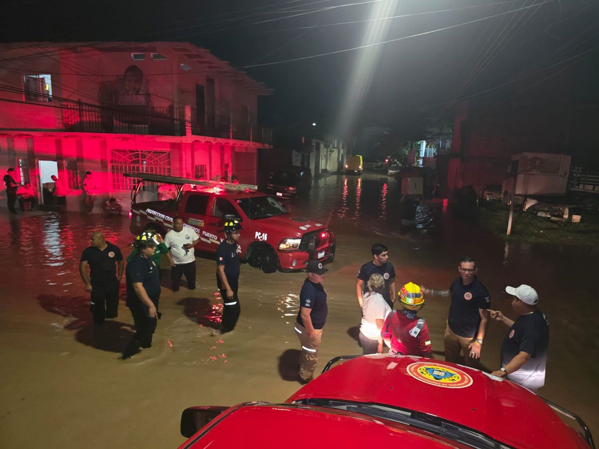 周五的强降雨导致普埃托巴亚尔塔地区42栋房屋被淹，12棵树木倒塌