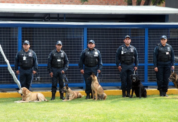 Unidad canina en imagen de archivo. Foto Jesús Villaseca