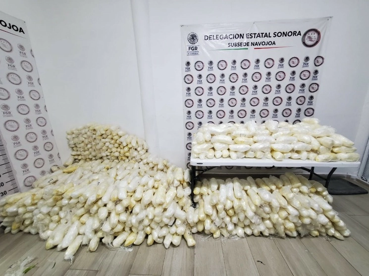 Imagen de las bolsas que contenían la droga, difunda por la FGR  