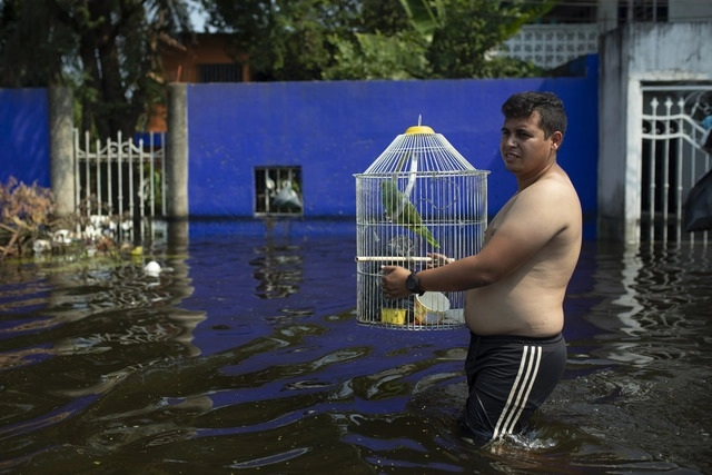 Persona camina por una calle inundada en la ciudad de Villahermosa, Tabasco. Foto Ap