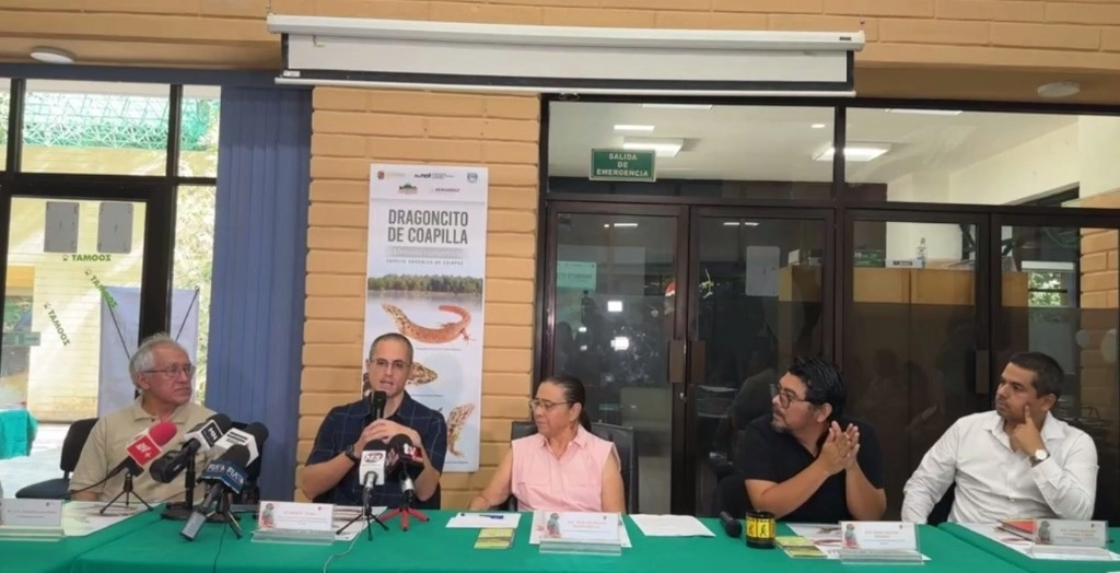 Presentación de la nueva especie para la ciencia Dragoncito de Coapilla. Imagen tomada de video de Facebook Semahn Chiapas
