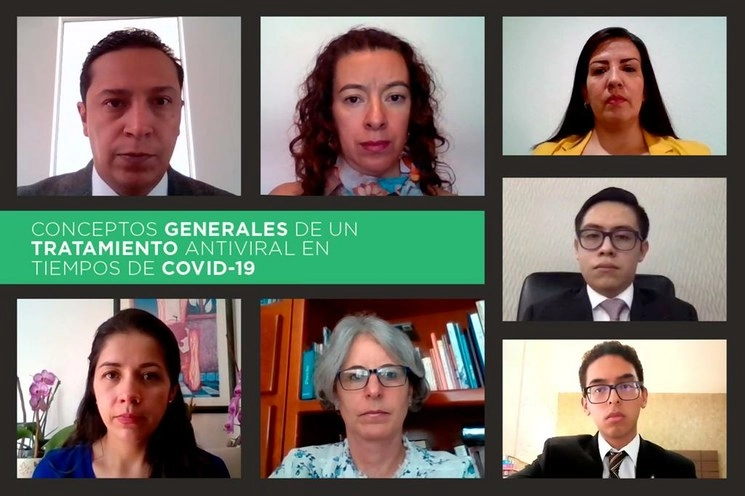 Imagen de los participantes del webinar. Foto La Jornada