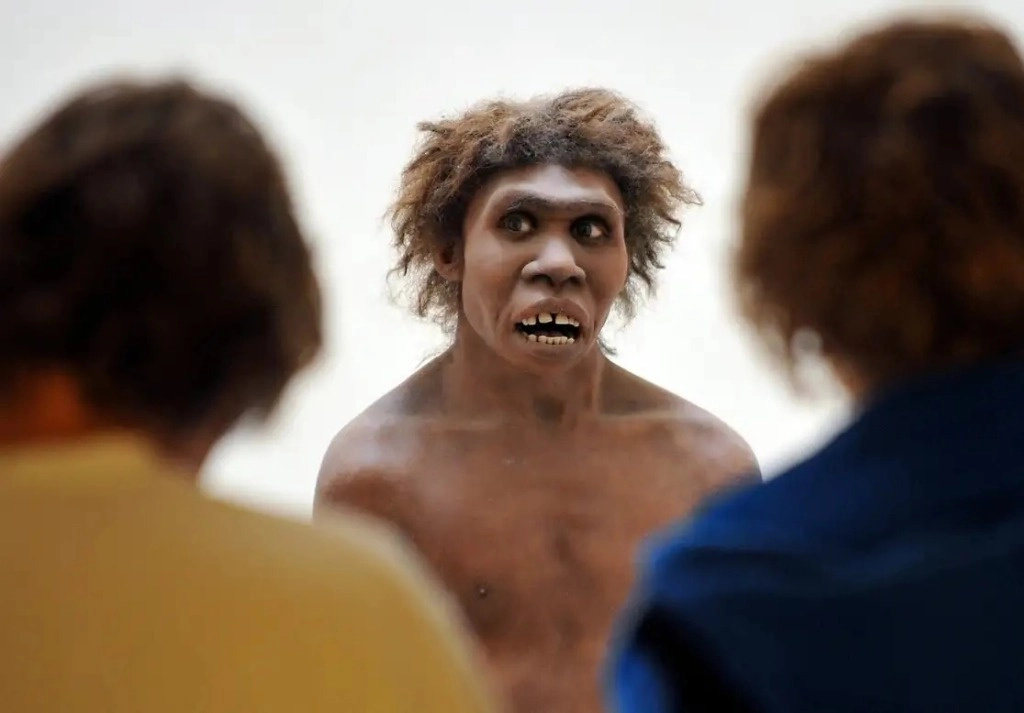 Representación de un hombre de Neandertal en el Museo Nacional de Prehistoria en Eyzies-de-Tayac, Dordoña, Francia. Foto Afp / Archivo