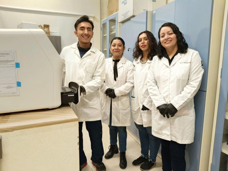Desde hace cinco años, la investigación es encabezada por el profesor de la División de Ciencias Naturales y Exactas (DCNE) de la Universidad de Guanajuato (UG), Ángel Josabad Alonso Castro.